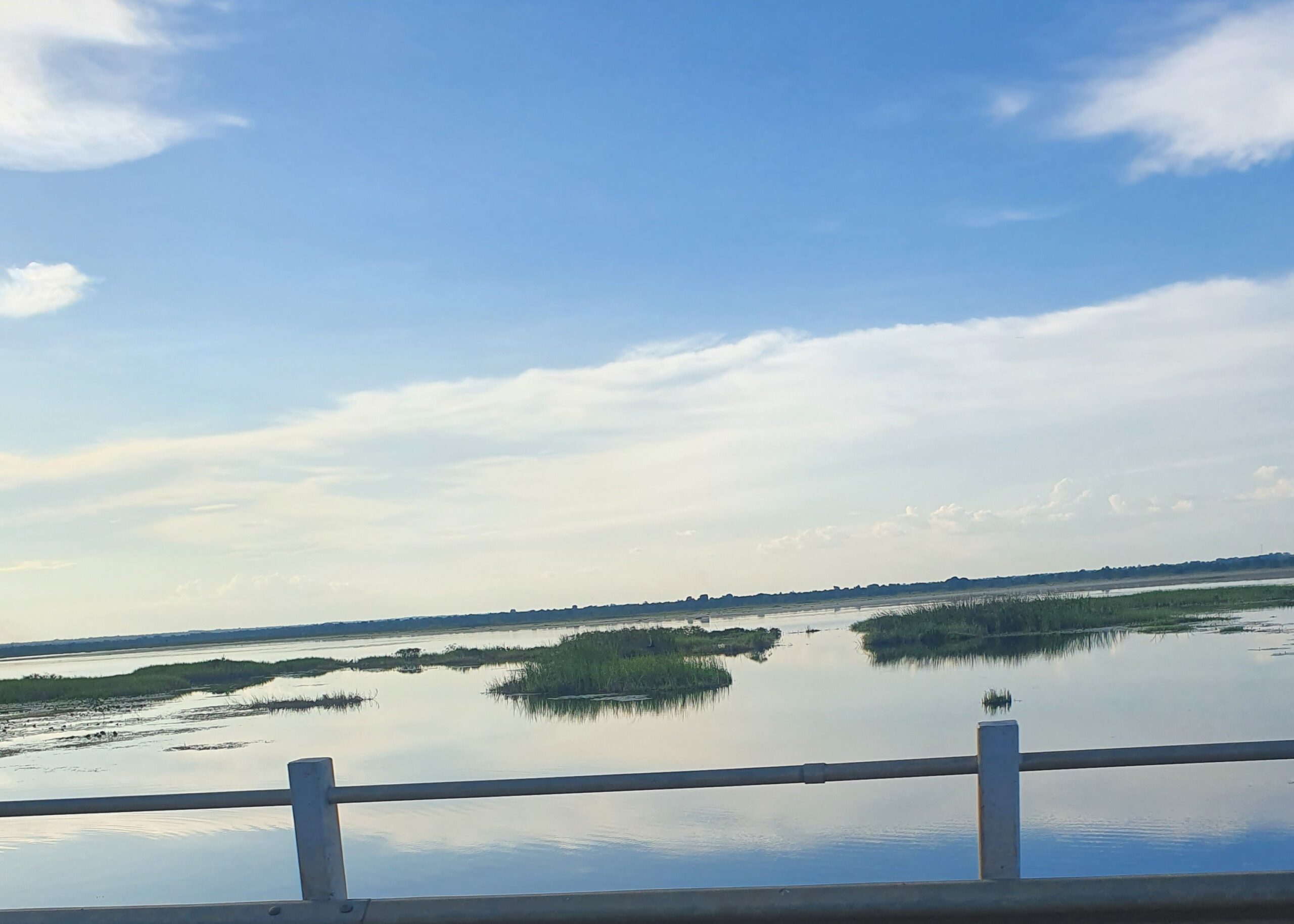Wetland 1